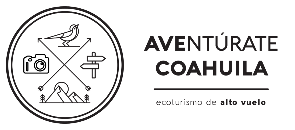 La imagen tiene un atributo ALT vacío; su nombre de archivo es logo-aventurate_logotipo-horizontal-negro-1024x453.png